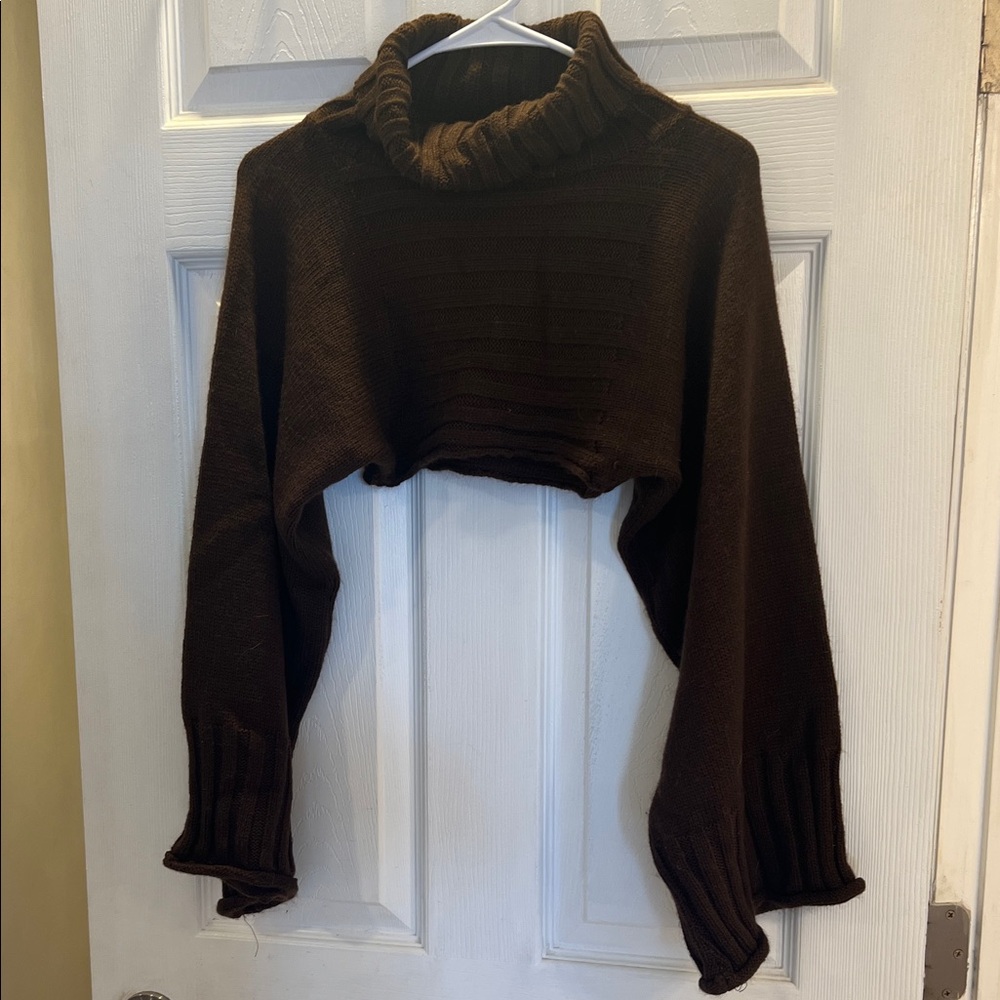Brown Turtleneck Cropped Sweater
